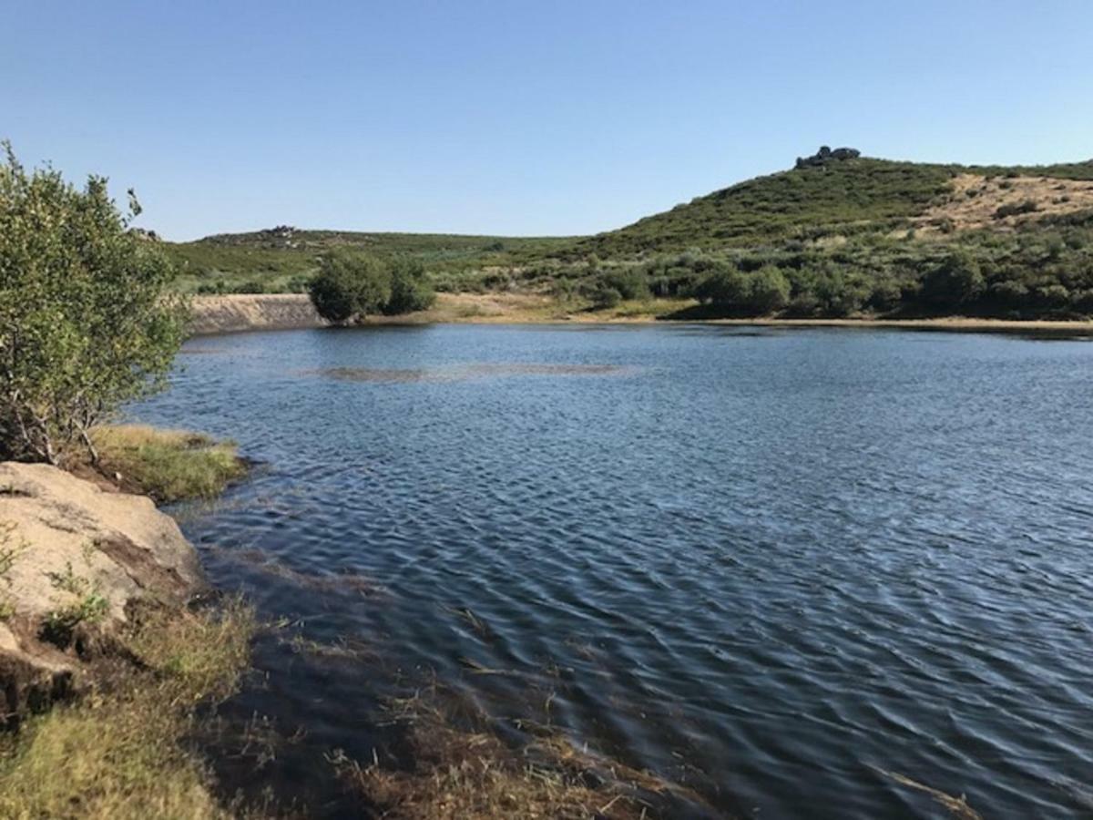 Quinchoso Dos Bentos Villa Vila Pouca de Aguiar Dış mekan fotoğraf