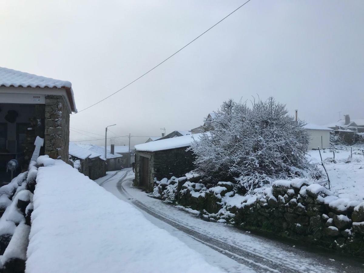 Quinchoso Dos Bentos Villa Vila Pouca de Aguiar Dış mekan fotoğraf